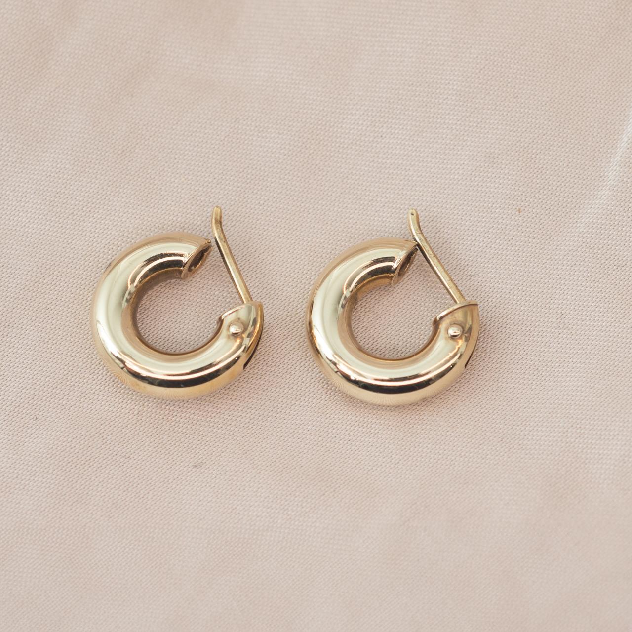Chunky Hoop Huggie Earrings