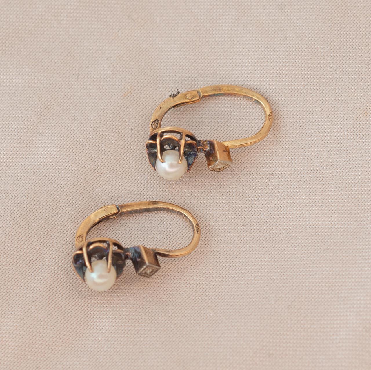 Dainty pearl earrings