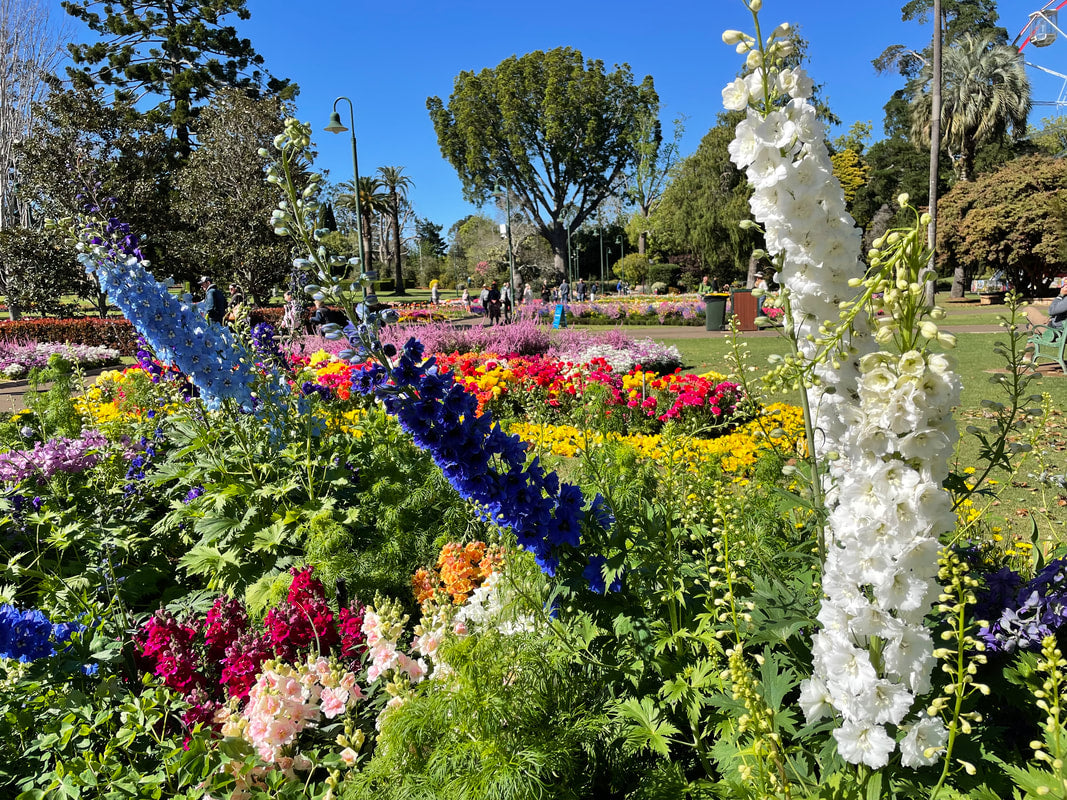 The Toowoomba Carnival of Flowers