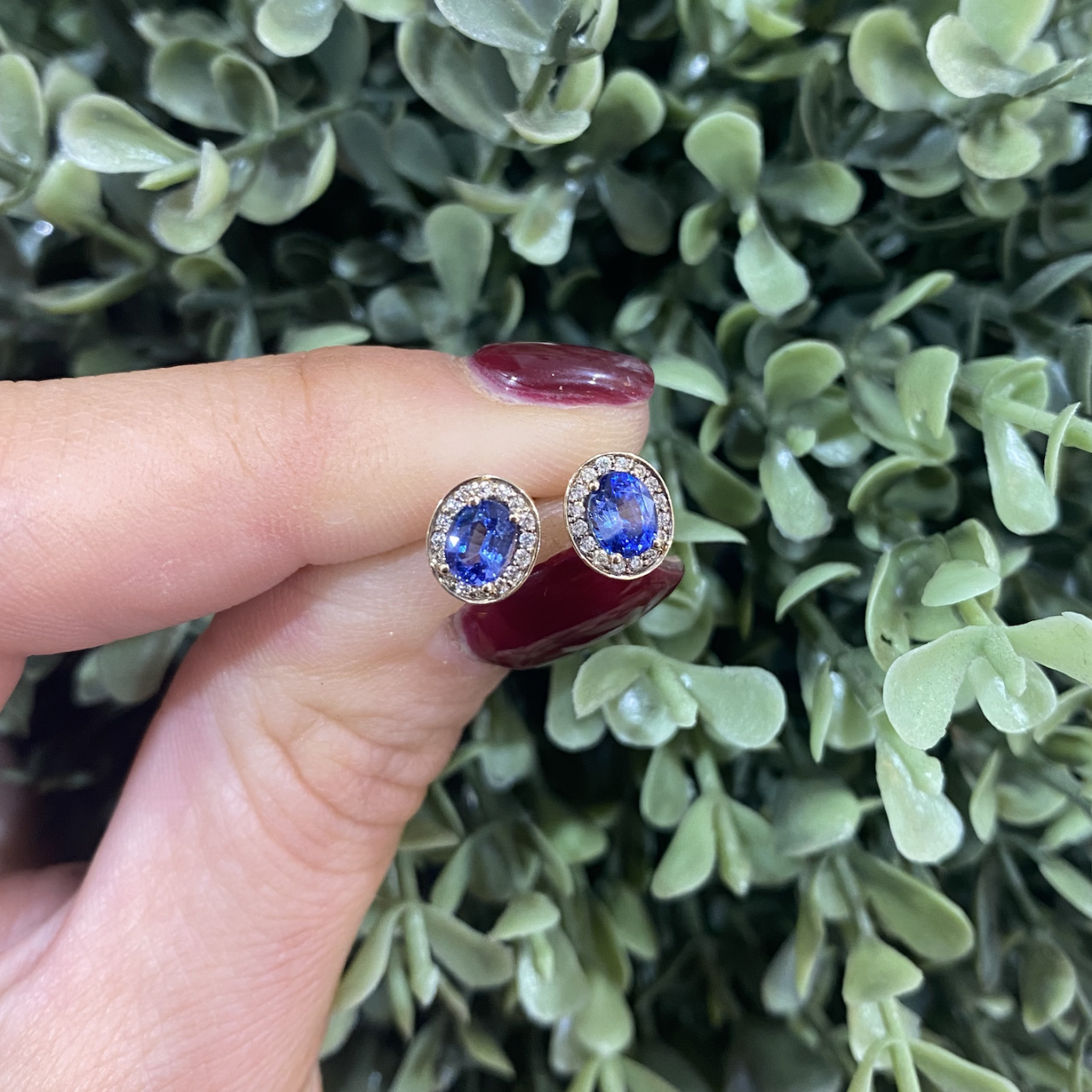 Ceylon Sapphire & Diamond Halo Stud Earrings