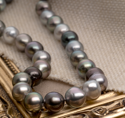 Tahitian pearl strand necklace
