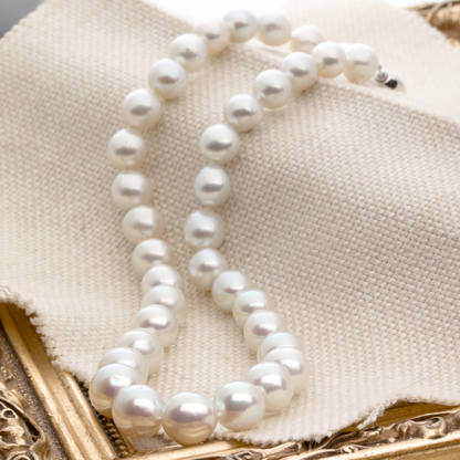 White south sea pearl necklace strand